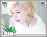 mv-bloom06