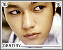 mv-destiny14