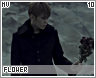 mv-flower10