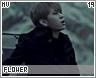 mv-flower19