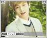 ps-100acrewood09