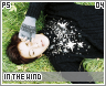 ps-inthewind04