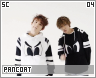 sc-pancoat04