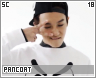sc-pancoat18